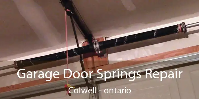 Garage Door Springs Repair Colwell - ontario