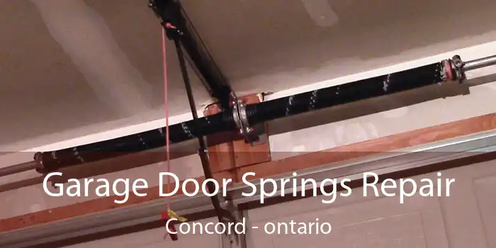 Garage Door Springs Repair Concord - ontario