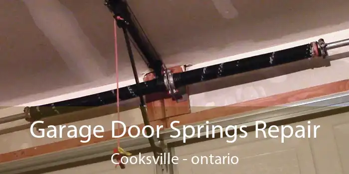 Garage Door Springs Repair Cooksville - ontario