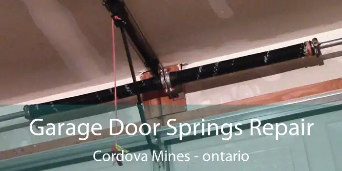 Garage Door Springs Repair Cordova Mines - ontario