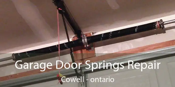 Garage Door Springs Repair Cowell - ontario