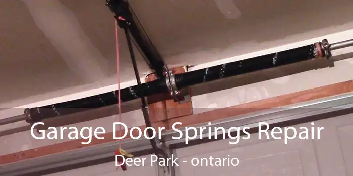 Garage Door Springs Repair Deer Park - ontario