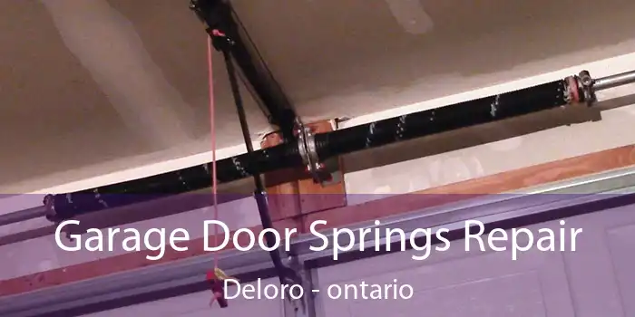 Garage Door Springs Repair Deloro - ontario