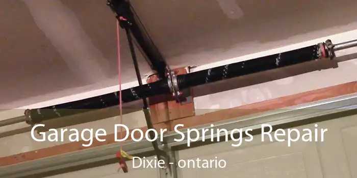 Garage Door Springs Repair Dixie - ontario