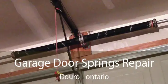 Garage Door Springs Repair Douro - ontario