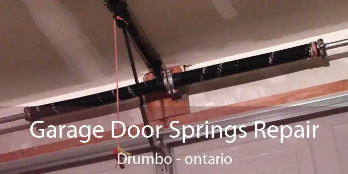 Garage Door Springs Repair Drumbo - ontario