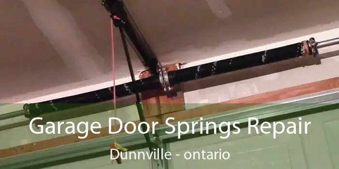 Garage Door Springs Repair Dunnville - ontario