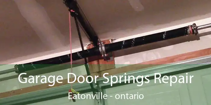 Garage Door Springs Repair Eatonville - ontario