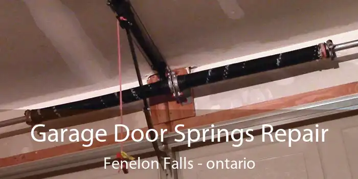 Garage Door Springs Repair Fenelon Falls - ontario