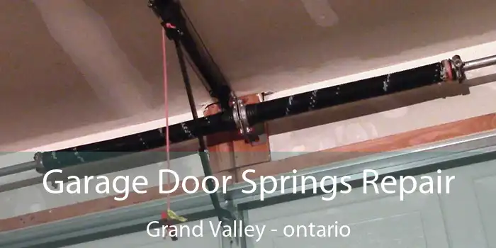 Garage Door Springs Repair Grand Valley - ontario