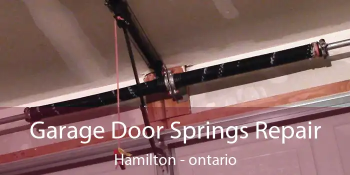 Garage Door Springs Repair Hamilton - ontario