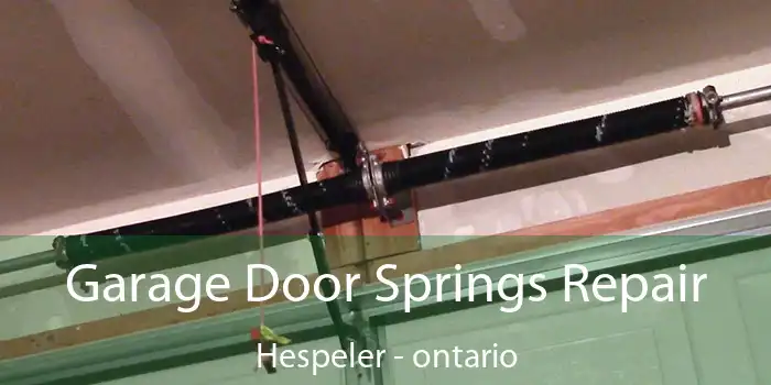 Garage Door Springs Repair Hespeler - ontario