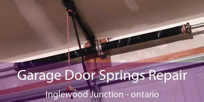 Garage Door Springs Repair Inglewood Junction - ontario