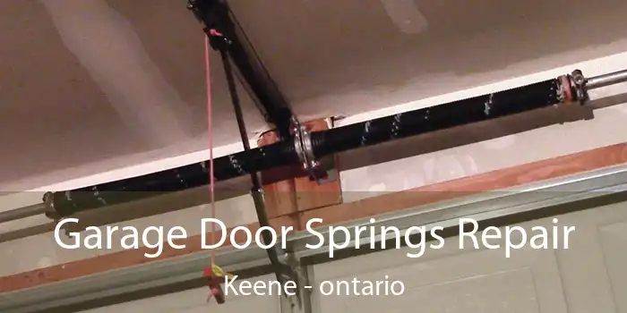 Garage Door Springs Repair Keene - ontario
