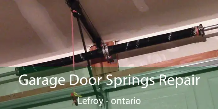 Garage Door Springs Repair Lefroy - ontario