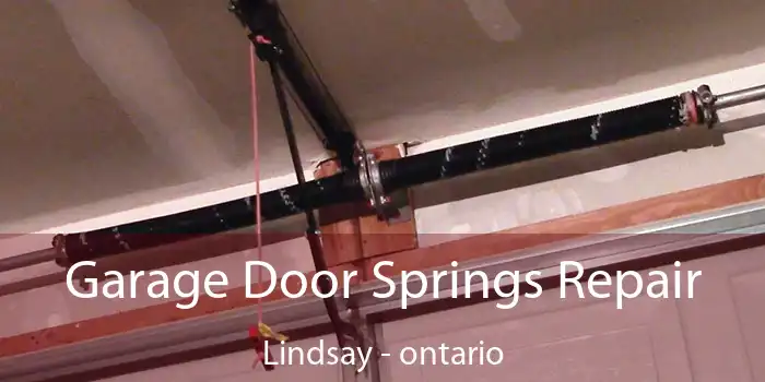 Garage Door Springs Repair Lindsay - ontario
