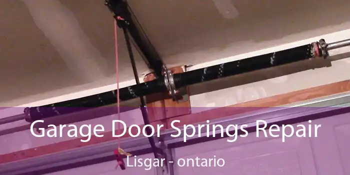 Garage Door Springs Repair Lisgar - ontario