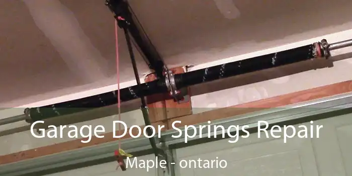 Garage Door Springs Repair Maple - ontario