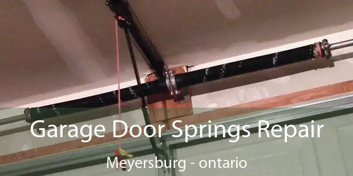Garage Door Springs Repair Meyersburg - ontario