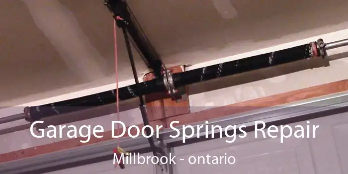 Garage Door Springs Repair Millbrook - ontario