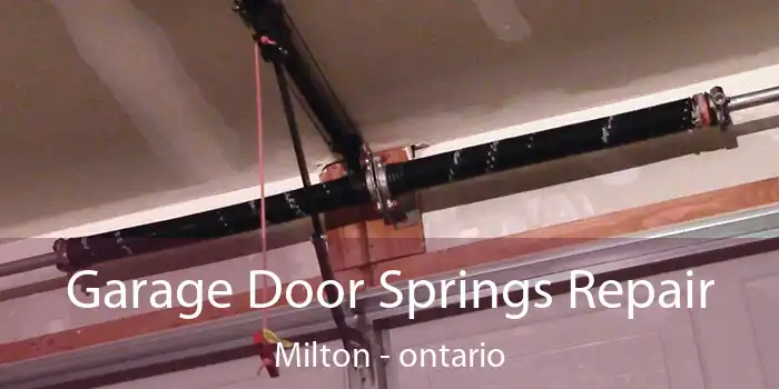 Garage Door Springs Repair Milton - ontario
