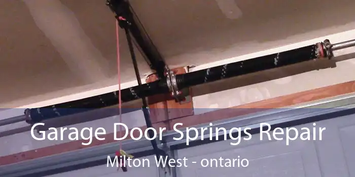 Garage Door Springs Repair Milton West - ontario