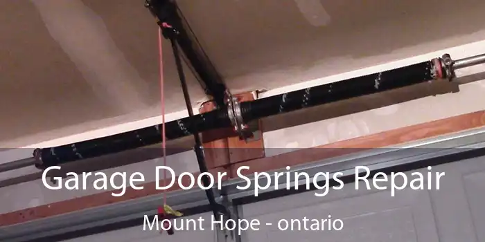 Garage Door Springs Repair Mount Hope - ontario