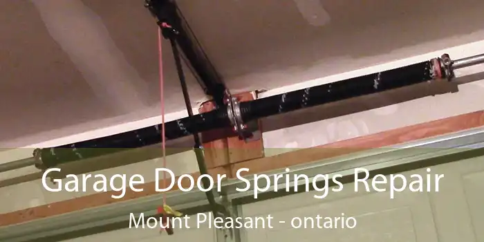 Garage Door Springs Repair Mount Pleasant - ontario