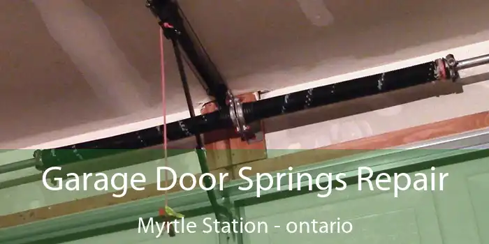 Garage Door Springs Repair Myrtle Station - ontario