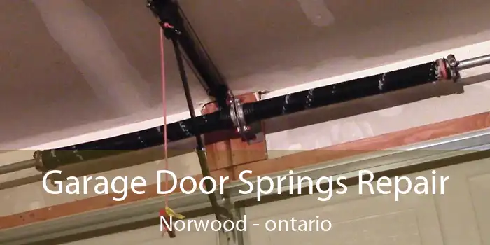 Garage Door Springs Repair Norwood - ontario