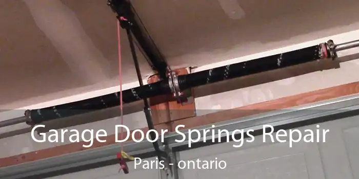 Garage Door Springs Repair Paris - ontario