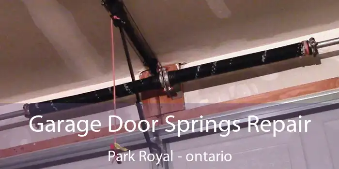 Garage Door Springs Repair Park Royal - ontario