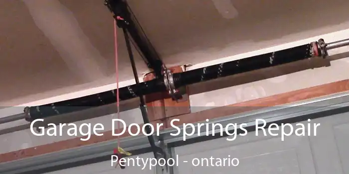 Garage Door Springs Repair Pentypool - ontario