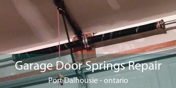 Garage Door Springs Repair Port Dalhousie - ontario