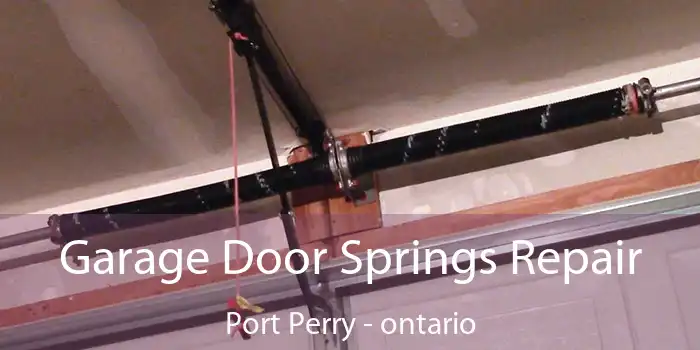Garage Door Springs Repair Port Perry - ontario