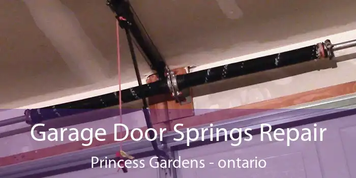Garage Door Springs Repair Princess Gardens - ontario