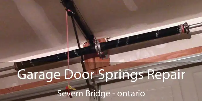 Garage Door Springs Repair Severn Bridge - ontario