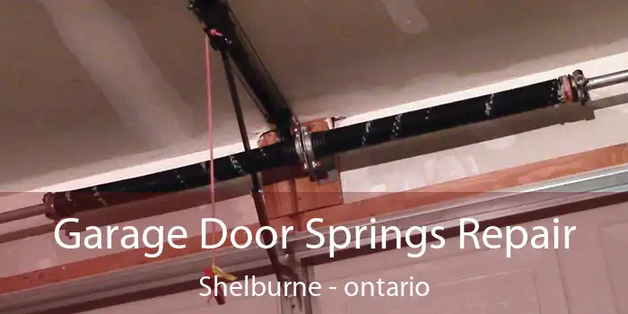Garage Door Springs Repair Shelburne - ontario