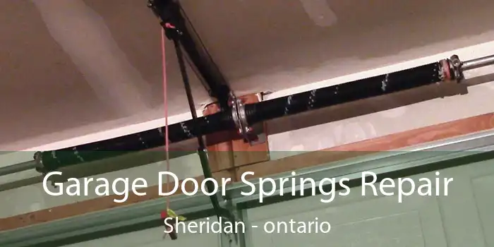 Garage Door Springs Repair Sheridan - ontario