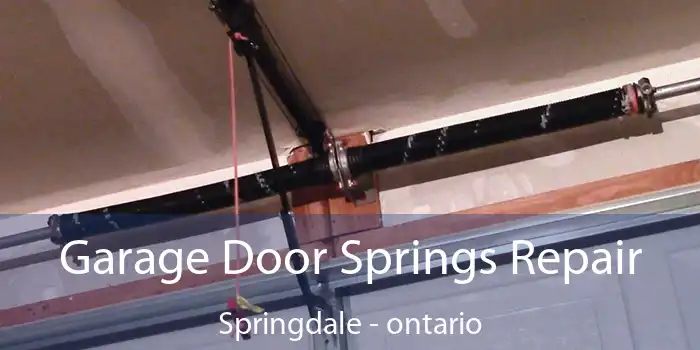 Garage Door Springs Repair Springdale - ontario
