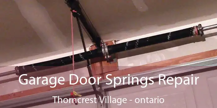 Garage Door Springs Repair Thorncrest Village - ontario