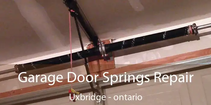 Garage Door Springs Repair Uxbridge - ontario