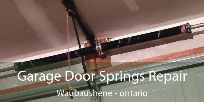 Garage Door Springs Repair Waubaushene - ontario