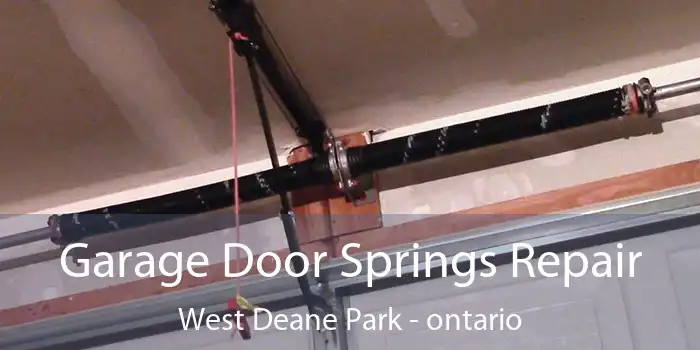 Garage Door Springs Repair West Deane Park - ontario