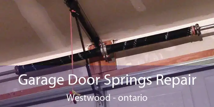 Garage Door Springs Repair Westwood - ontario