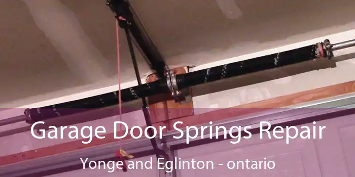 Garage Door Springs Repair Yonge and Eglinton - ontario