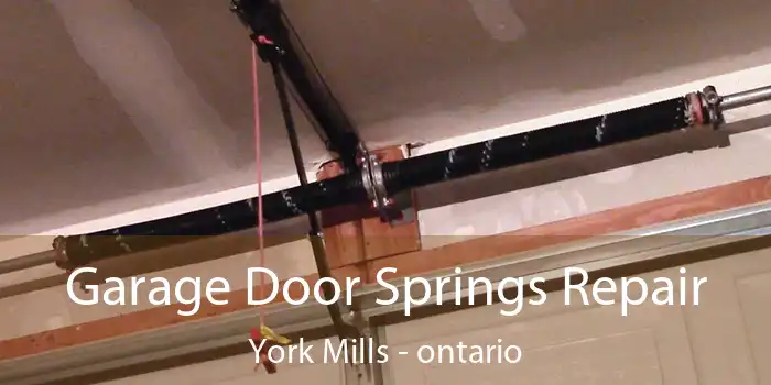 Garage Door Springs Repair York Mills - ontario