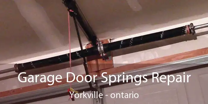 Garage Door Springs Repair Yorkville - ontario