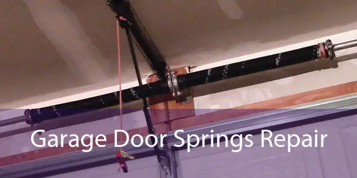 Garage Door Springs Repair 