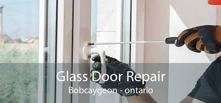 Glass Door Repair Bobcaygeon - ontario